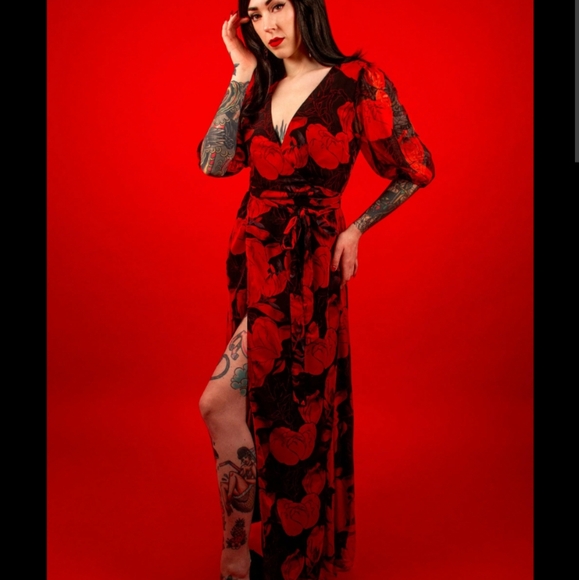 NWT Katakomb Winona Dress - Picture 1 of 8